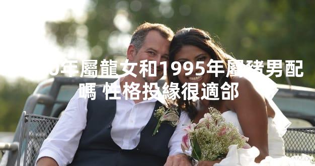 2000年屬龍女和1995年屬豬男配嗎 性格投緣很適郃